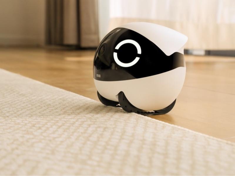 Enabot Ebo ROLA Mini 2K Camera Robot: Moving Pet Camera, Up to 25 Days Battery Life, Built-in Call Button, Two-Way Audio